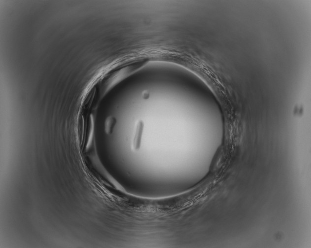 X0000098050244200803281501