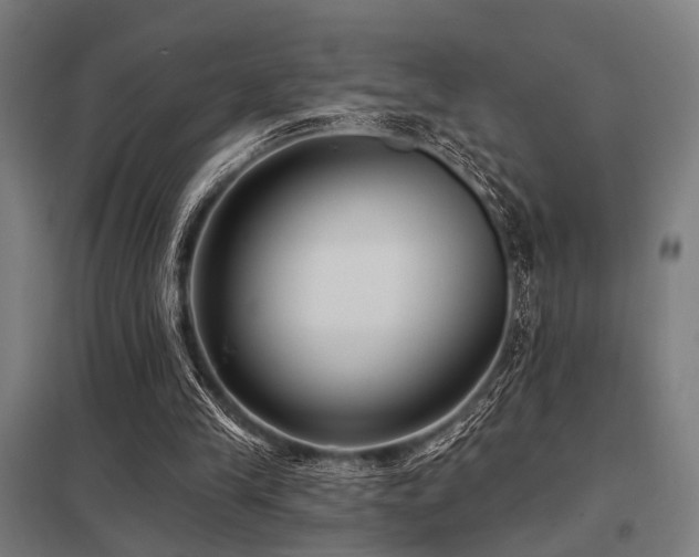 X0000098050245200803281501