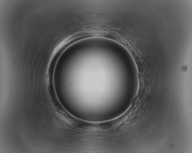 X0000098050246200803281501