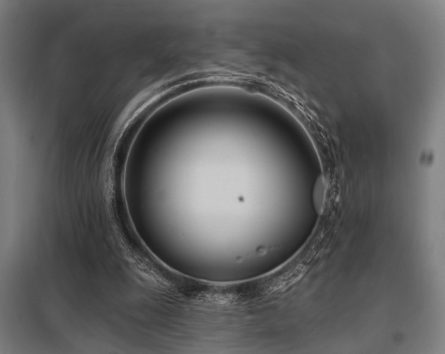 X0000098050247200803281501