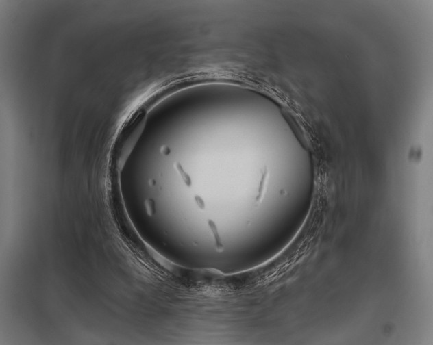 X0000098050248200803281501