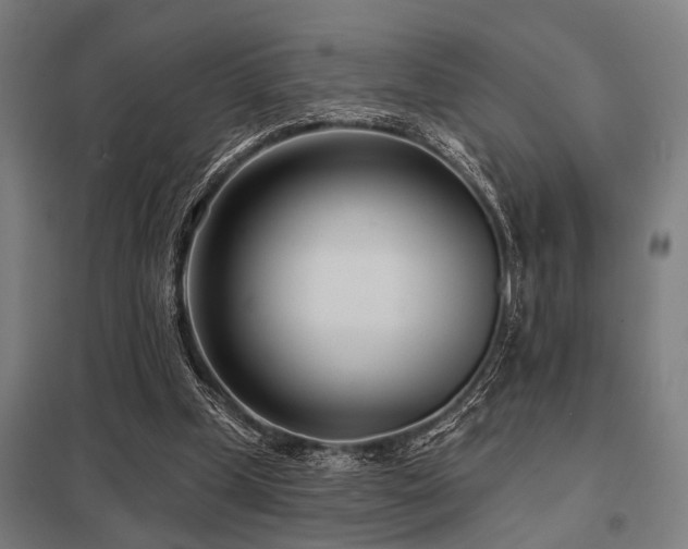 X0000098050249200803281501