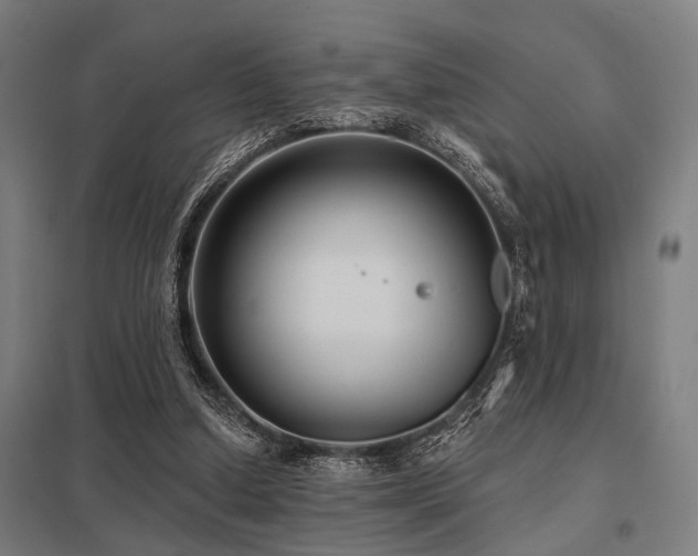 X0000098050250200803281501