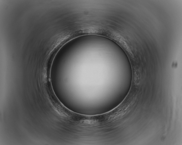 X0000098050251200803281501