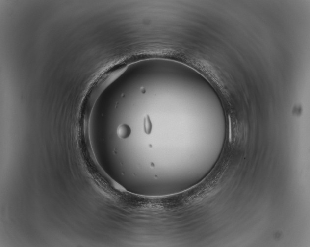 X0000098050252200803281501