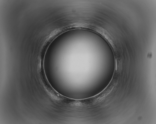 X0000098050253200803281501