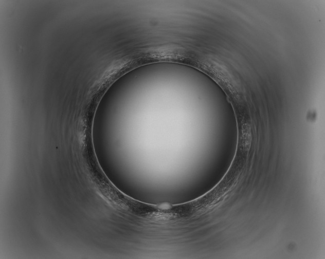 X0000098050255200803281501