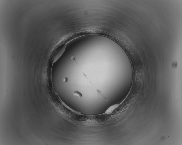 X0000098050256200803281501