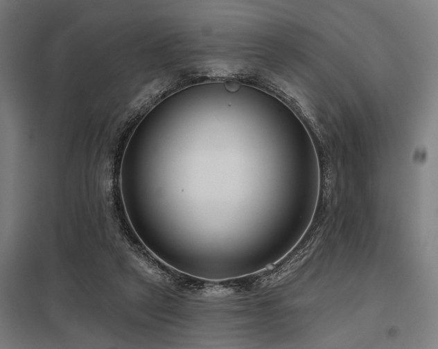 X0000098050257200803281501