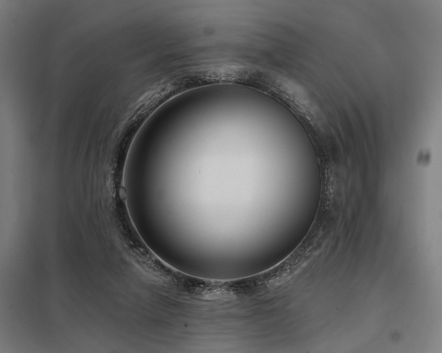 X0000098050258200803281501