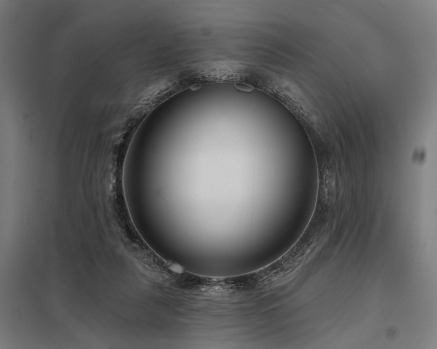 X0000098050259200803281501