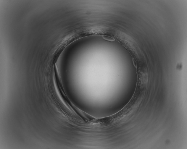 X0000098050260200803281501