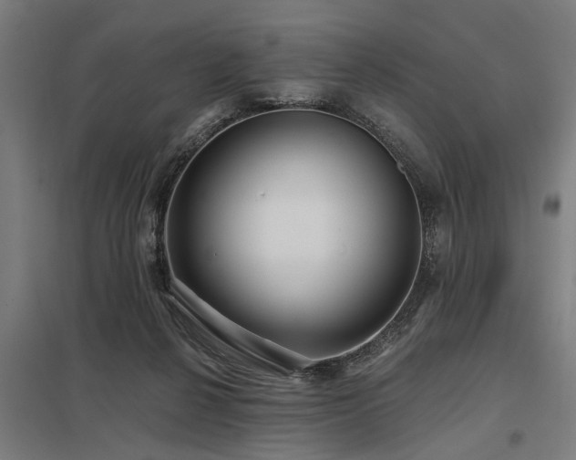 X0000098050264200803281502