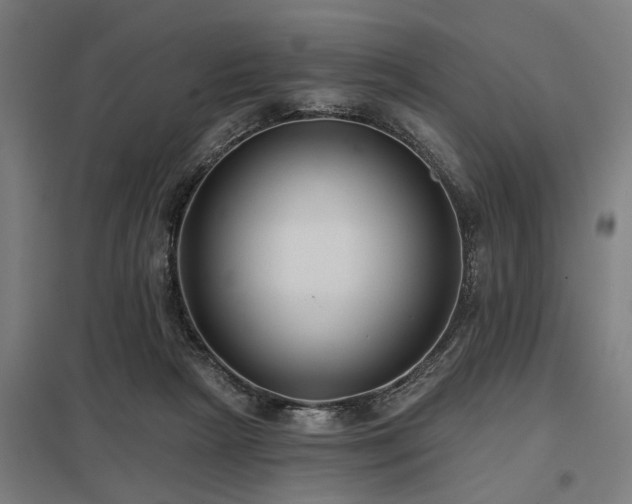 X0000098050265200803281502