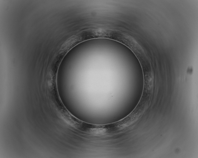 X0000098050266200803281502