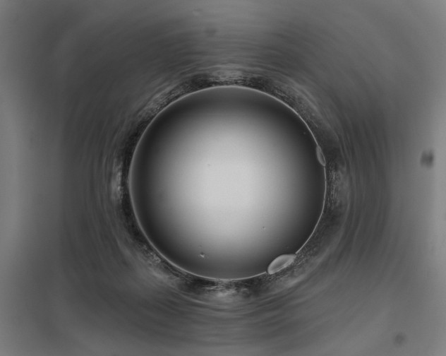 X0000098050267200803281502