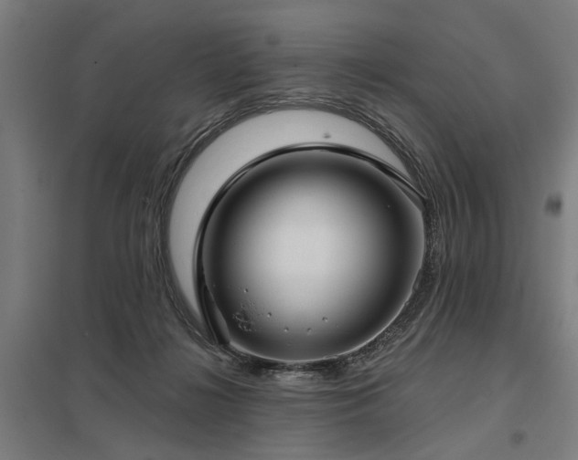 X0000098050268200803281502