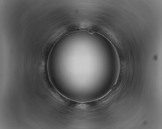 X0000098050269200803281502