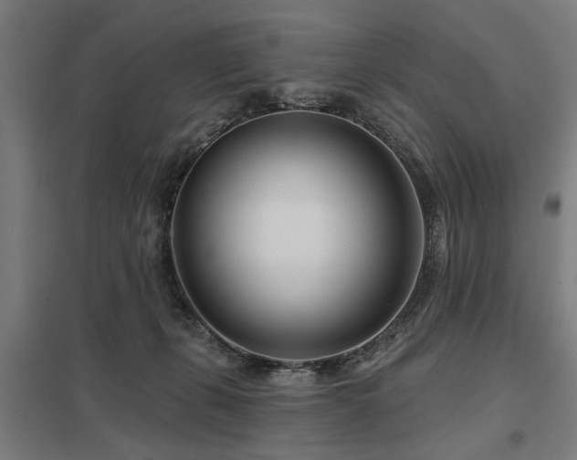 X0000098050271200803281502