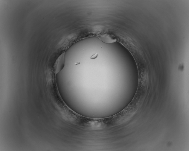 X0000098050272200803281502