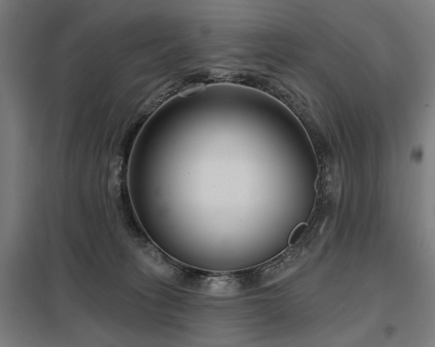 X0000098050275200803281502