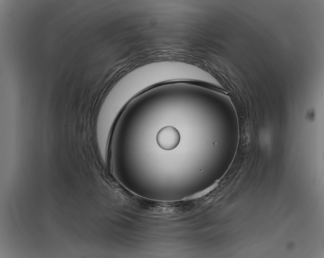 X0000098050276200803281502