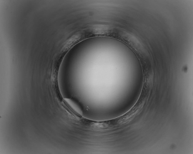 X0000098050277200803281502