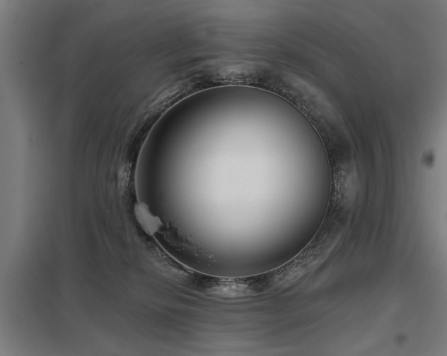 X0000098050278200803281502