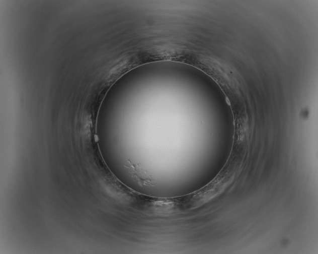 X0000098050279200803281502