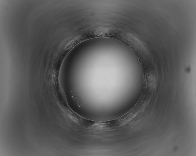 X0000098050280200803281502