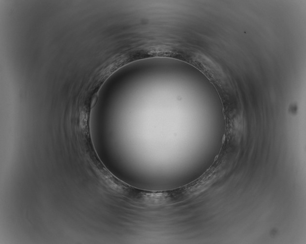 X0000098050281200803281502