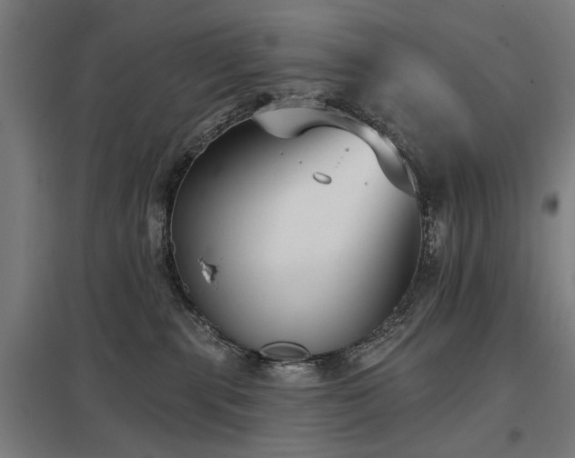 X0000098050283200803281502