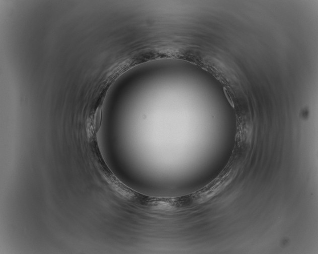 X0000098050285200803281502