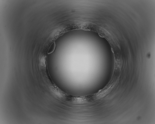 X0000098050286200803281502