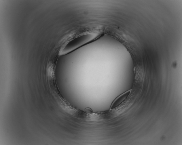 X0000098050287200803281502