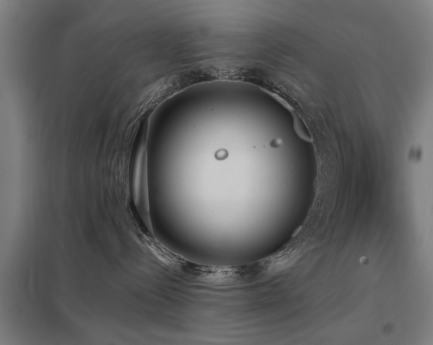 X0000098050288200803281502