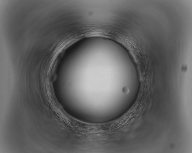 X0000098050289200803281501