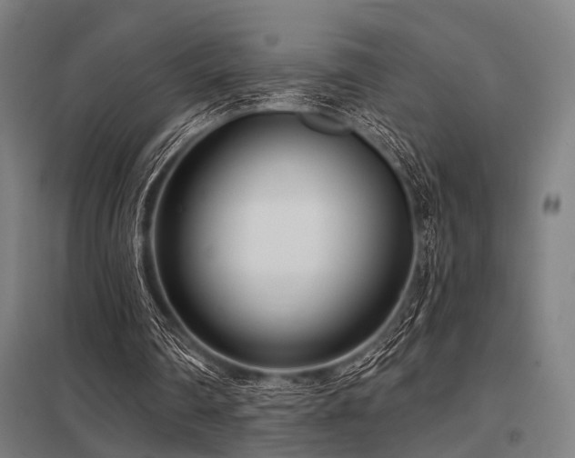 X0000098050290200803281501