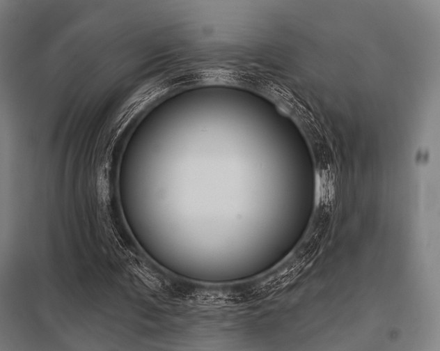 X0000098050291200803281501