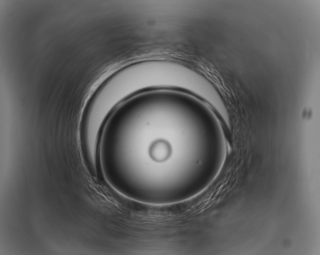 X0000098050292200803281501