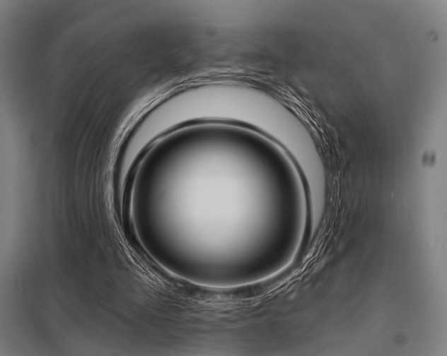 X0000098050293200803281501