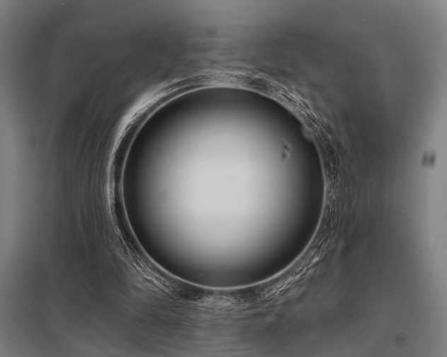 X0000098050294200803281501