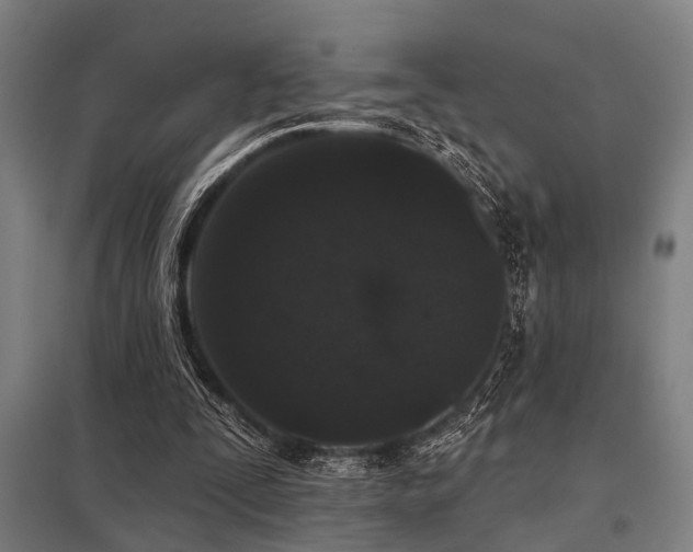 X0000098050295200803281501