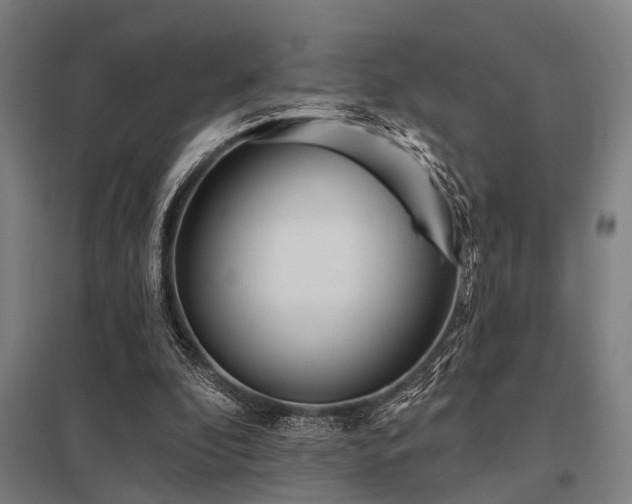 X0000098050296200803281501