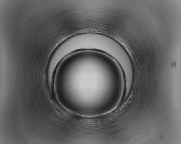 X0000098050297200803281501