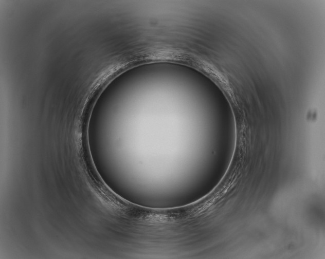 X0000098050298200803281501