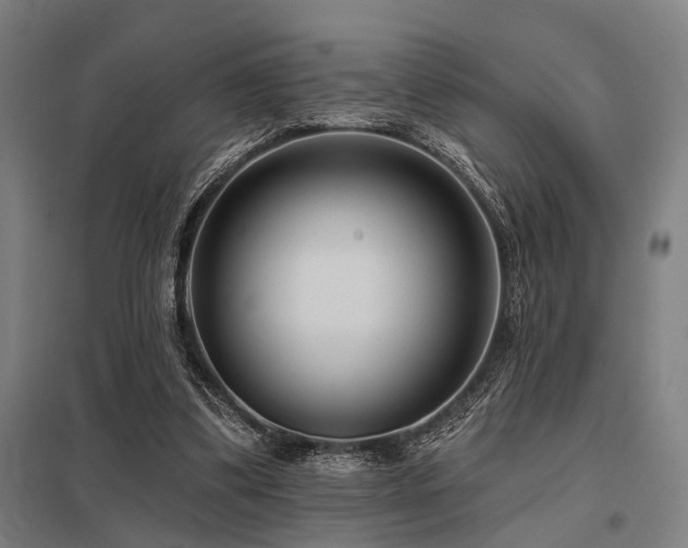 X0000098050299200803281501