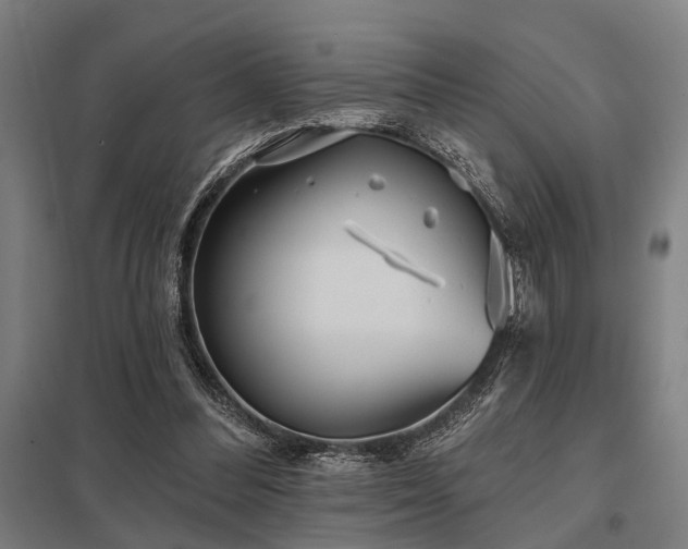 X0000098050300200803281501