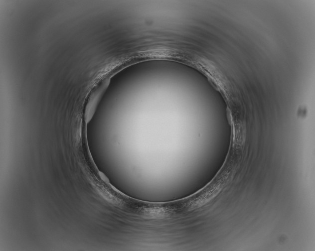 X0000098050301200803281501