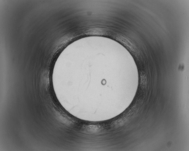 X0000098050302200803281501